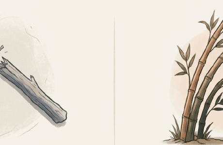 למה שליטה באוכל מחזיקה רק חלק מהזמן ומה הגוף מנסה להגיד לנו כשאנחנו נשברים