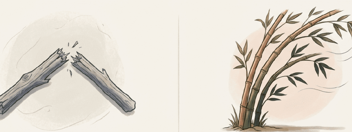 נוקשות-מול-גמישות_optimized